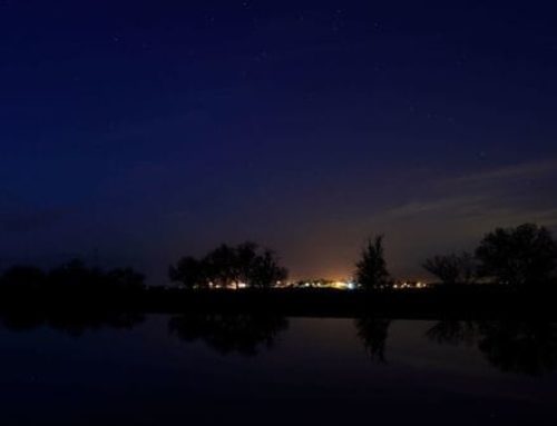 State auditor faults handling of delta tunnels planning contracts